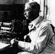 Dr. Lansteiner, known as the Father of Immunohematology, first described the ABO blood group system.